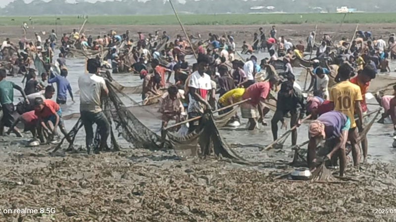 দিরাই-শাল্লায় ১১ বিলে দশ কোটি টাকার মাছ লুট